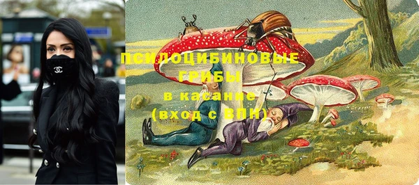 a pvp Горняк