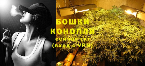 тгк Горнозаводск