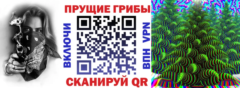 Псилоцибиновые грибы Cubensis  omg tor  Бутурлиновка 